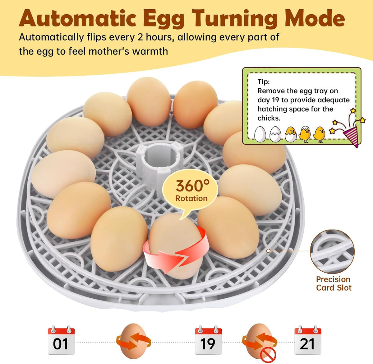 Egg Incubator for Hatching Chicks, Automatic Egg Turner Holds 12 Eggs