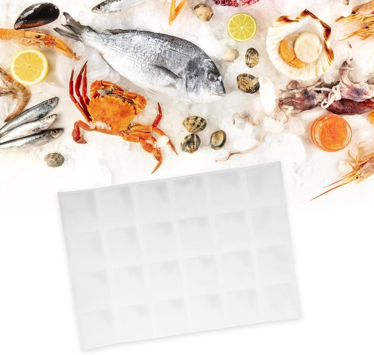 Reusable Shipping Ice Packs 4pcs for Cold Chain Logistics