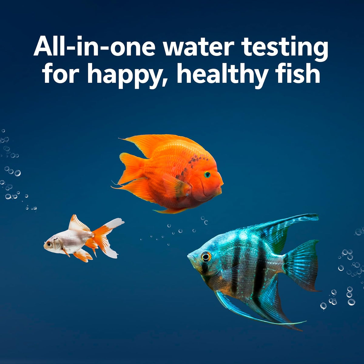 Ammonia Aquarium Test Strips, Freshwater and Saltwater Aquariums, 50 Count