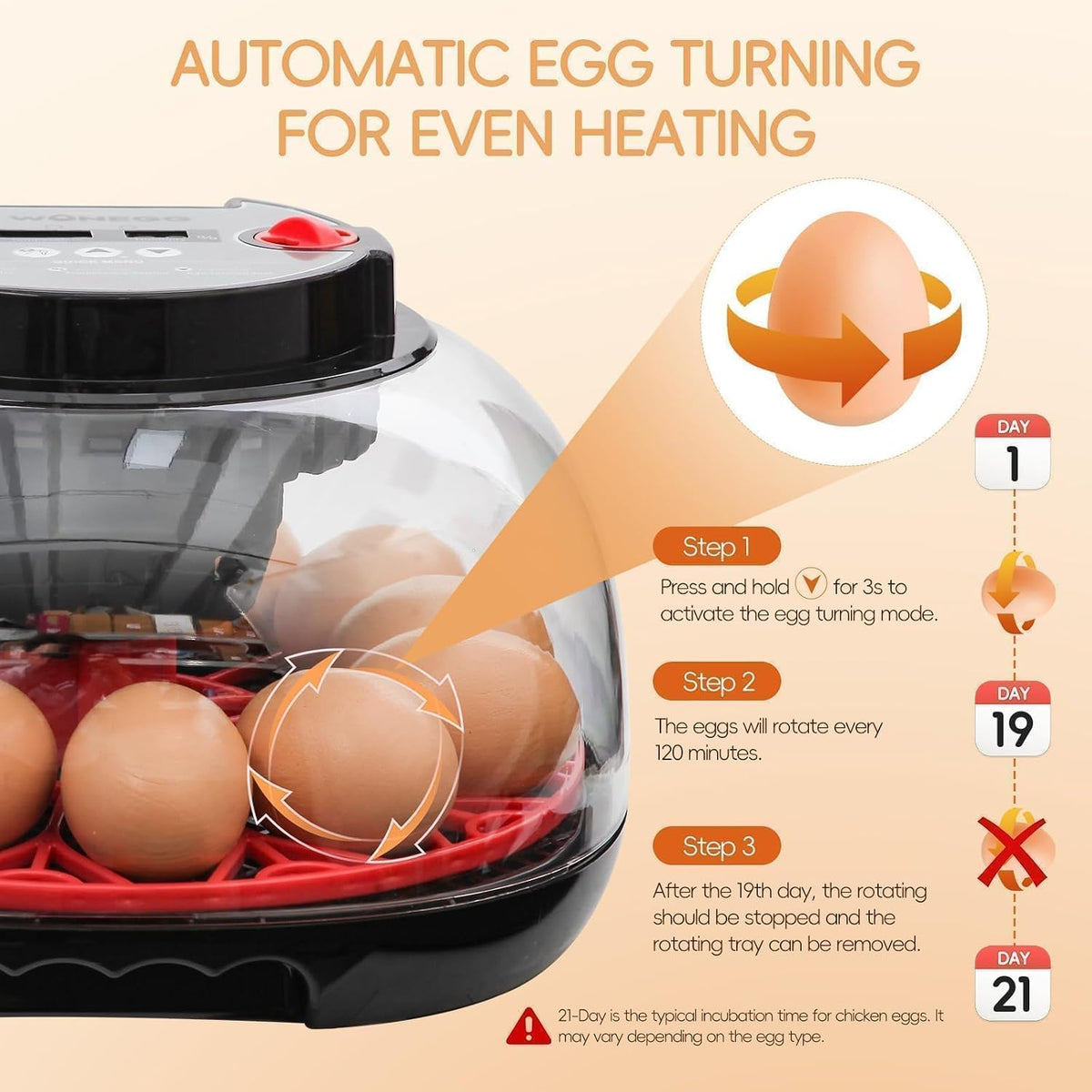Series II - 12 Egg Automatic Incubator for Beginners, Smart Adaptive Humidity (Dual-Bottle) & Auto Temp Control, Auto
