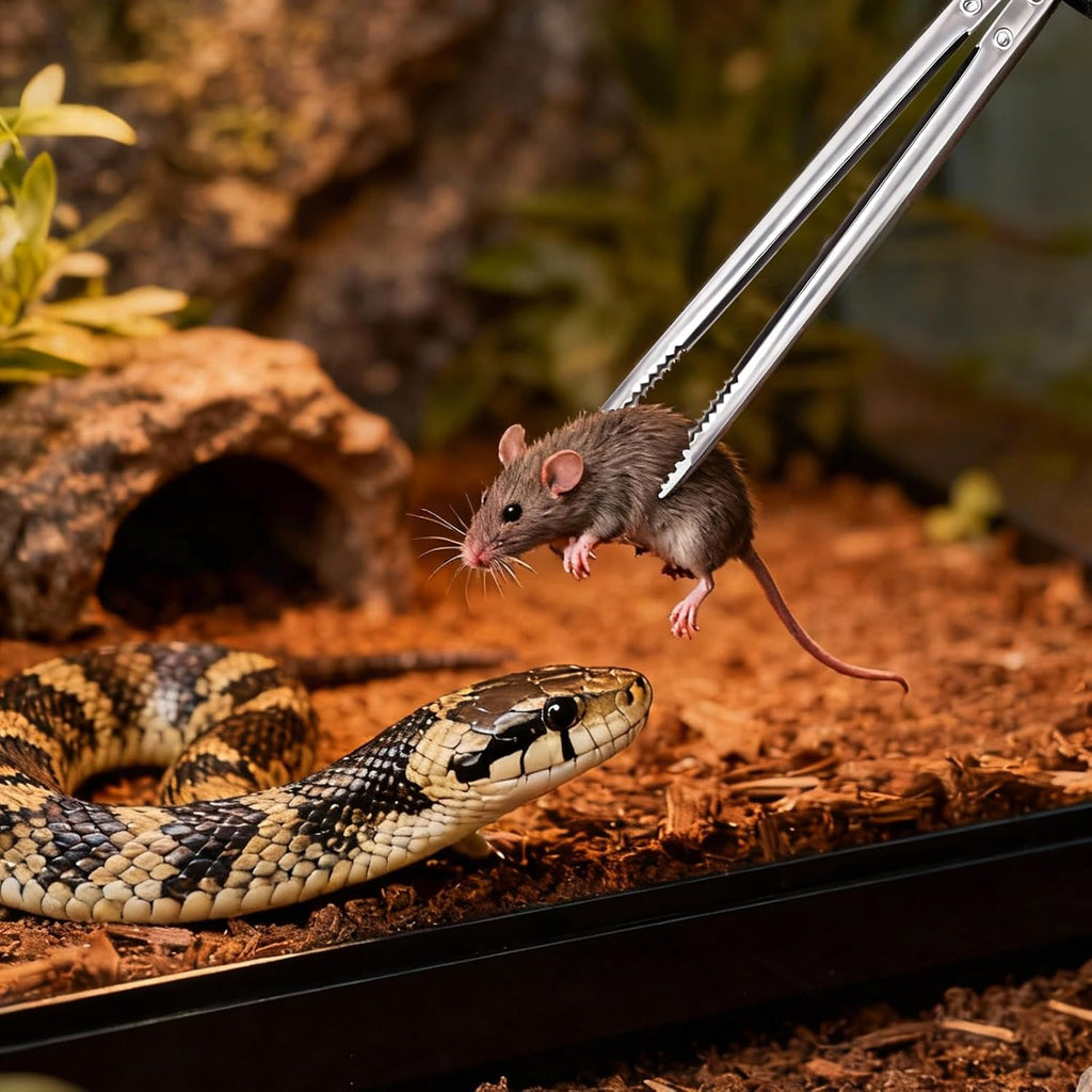 Feeding Tongs, Reptile Feeding Tongs for Snakes, Lizard, 3PCS Stainless Steel Tweezers with Gloves & Black Rubber Tips