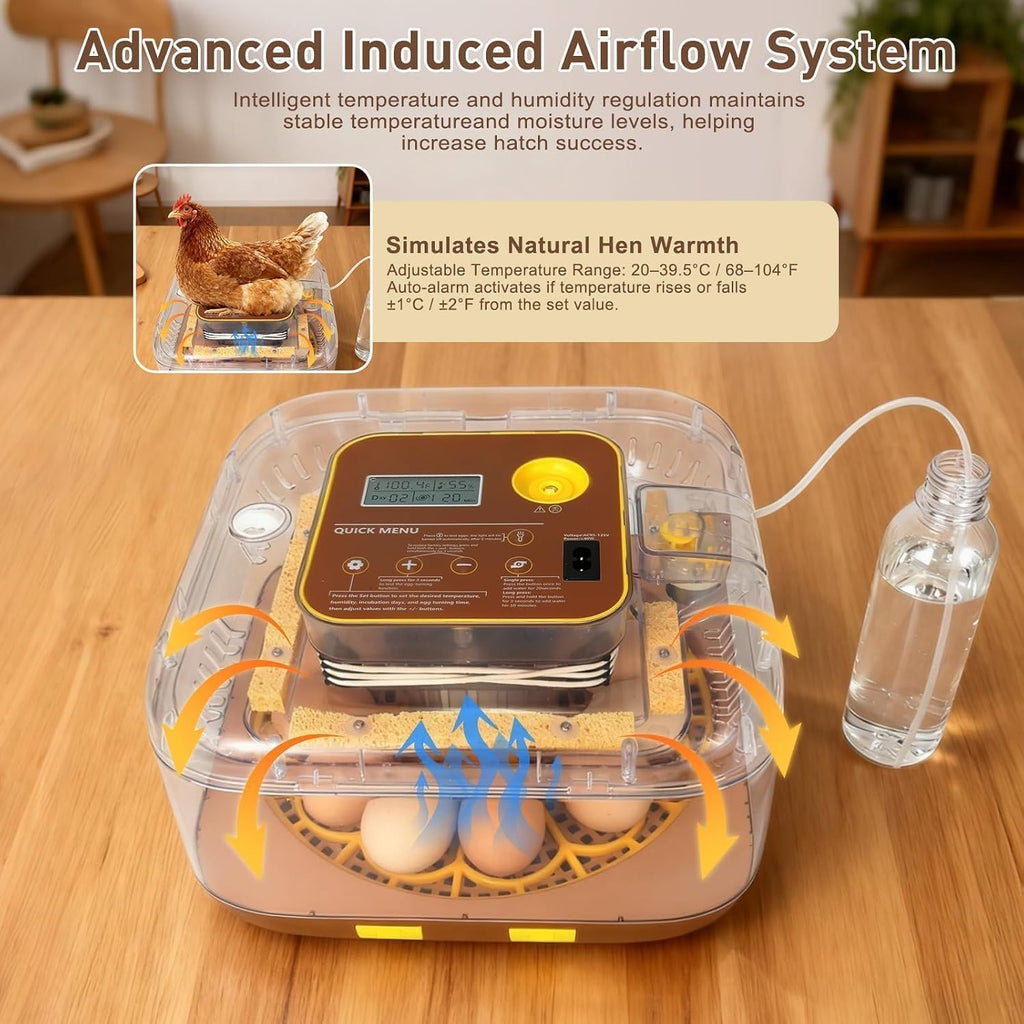 Series IV - 12-Egg Fully Automatic Incubator, Low Maintenance, Sensor-Based Precise Humidity & Temp Control
