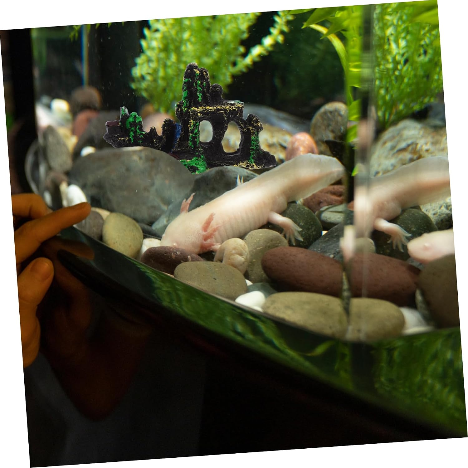 Large Fish Tank Decoration Resin Rock Aquarium Ornament with Water Design for Betta Fish and Shrimp Versatile Crab