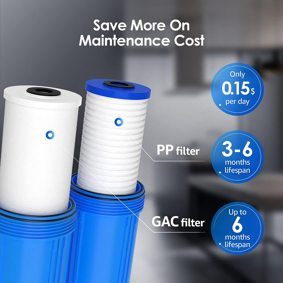 WF10PG Whole House Water Filter for WHF21-PG 10 x 4.5 System