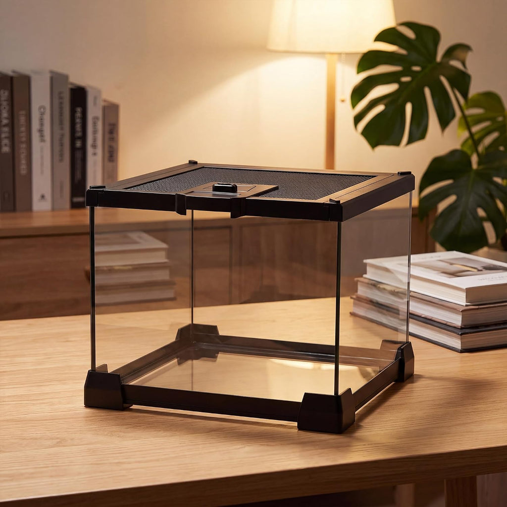 Mini Glass Reptile Enclosure Terrarium 8"x8"x6" | Top-Opening Mesh Lid with Feeding Hole, Fully Assembled Tank for