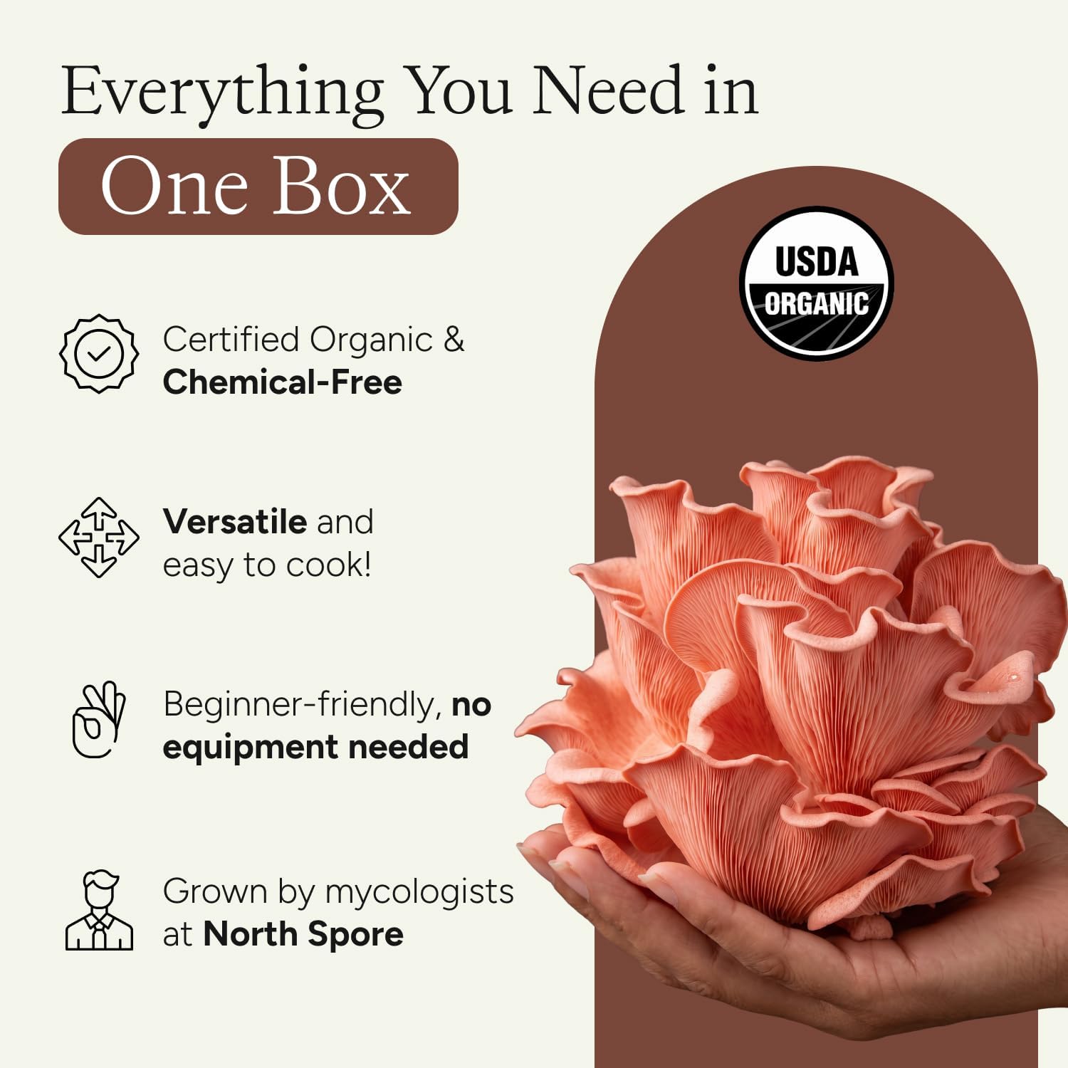 Organic Pink Oyster Mushroom Grow Kit, 4 lbs