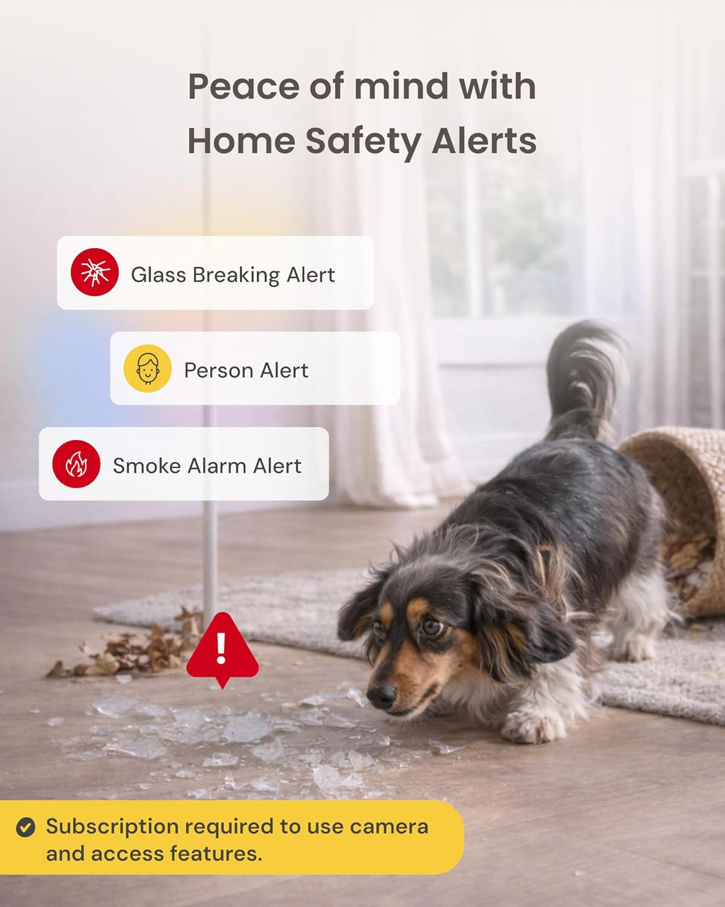 360° Dog Camera + Mini [New Subscription Required at Setup] 2-Camera Bundle Nanny Subscription: Dog Safety & Home