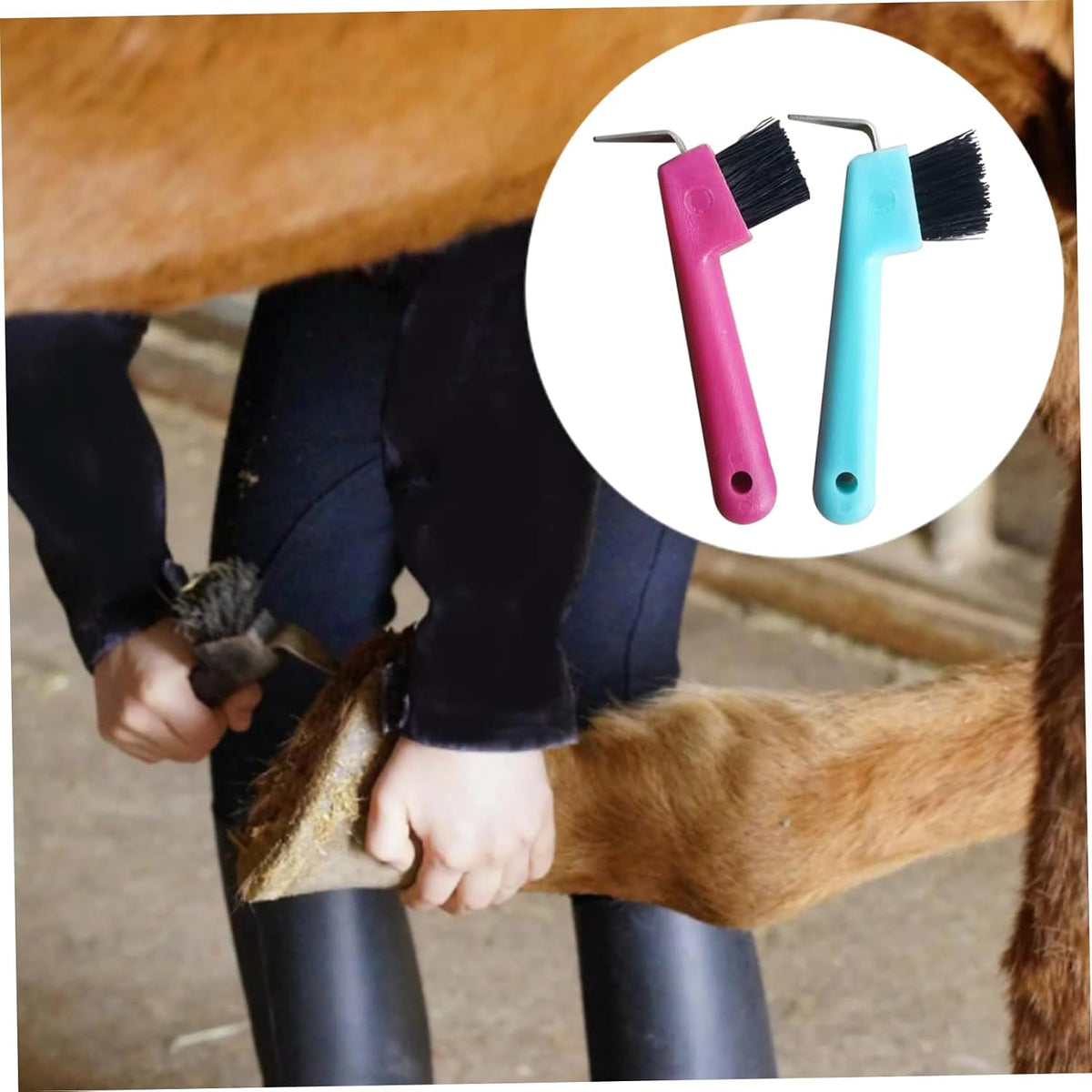 Horse Hoof Pick, Hoof Pick 4Pcs Handheld Replacement Portable Horse Brush with Hanging Hole Cleaning Supplies, Random