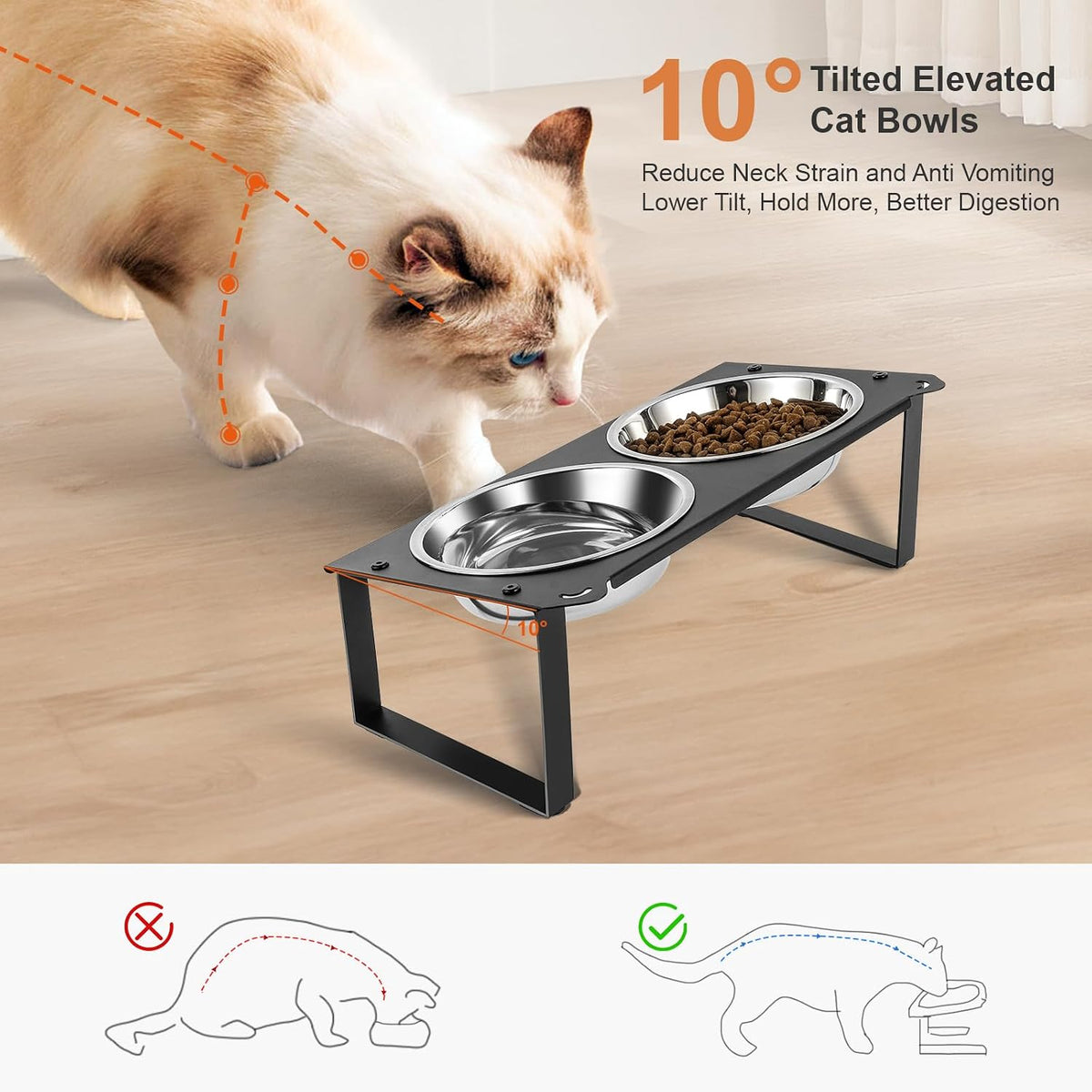 2 Set Elevated Cat Food Water Bowls, 4 Stainless Steel Bowls for Indoor Pet with Cute Metal Stand, 10° Tilted