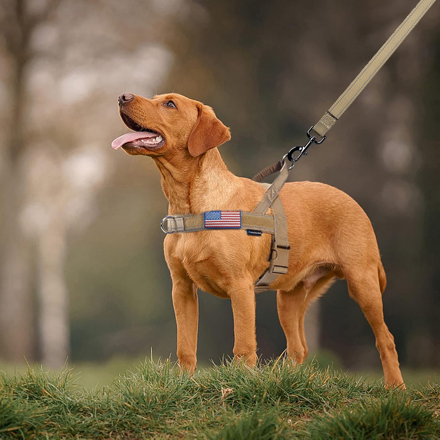 No Pull Dog Harness with Soft Padded Handle,Reflective Strip Escape Proof and Quick Fit to Adjust Dog Harness,Easy
