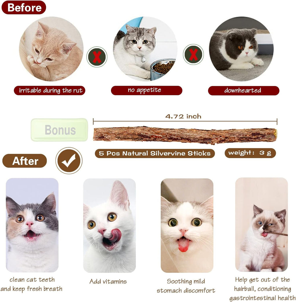 Natural Wood Cat Wand Toy with Ribbon Fish Teaser - 3pcs, 16 Inch, Indoor Cat Exerciser & Playing Kitten Toy, Bonus