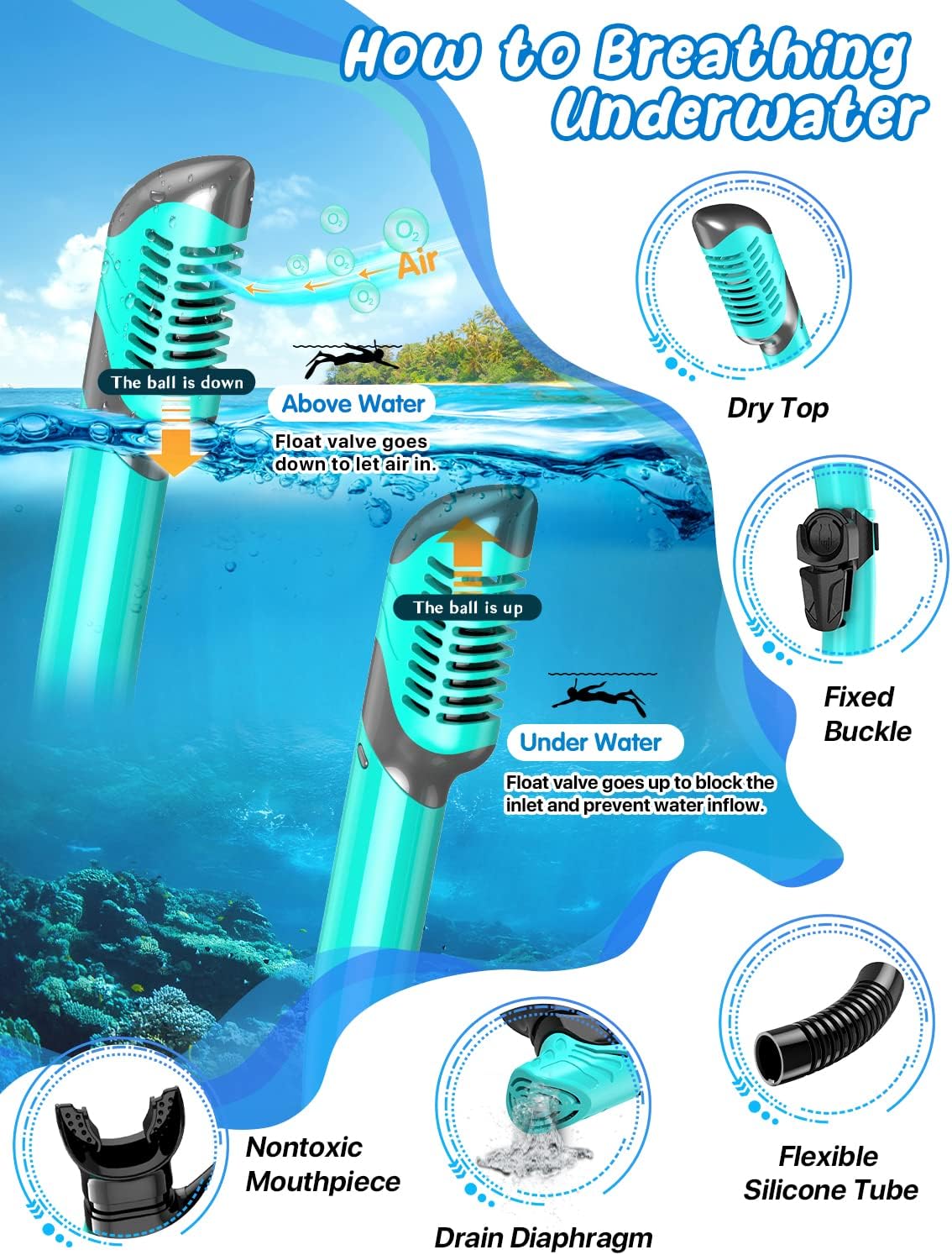 Snorkeling Gear for Adults, Panoramic Mask Anti-Fog & Dry Snorkel | Panoramic anti-fog mask with tempered glass lens