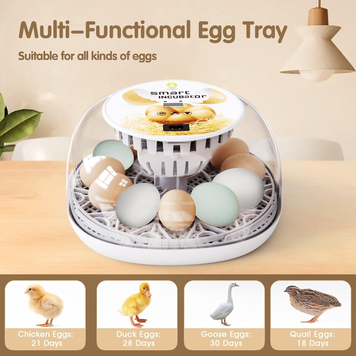 Egg Incubators for Hatching Eggs Chicken Eggs Incubator for Hatching Eggs Incubator with Automatic Egg Turner and