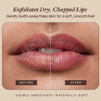 USDA Organic Lip Scrub Mint - USA Made with Natural Ingredients