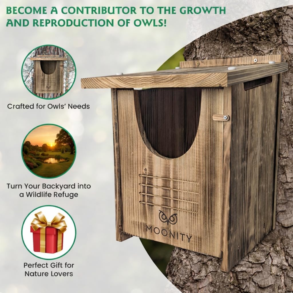 Large Fire-Treated Cedar Owl House – 16" x 12" x 12" All-Season Nesting Box for Barn & Screech – Durable