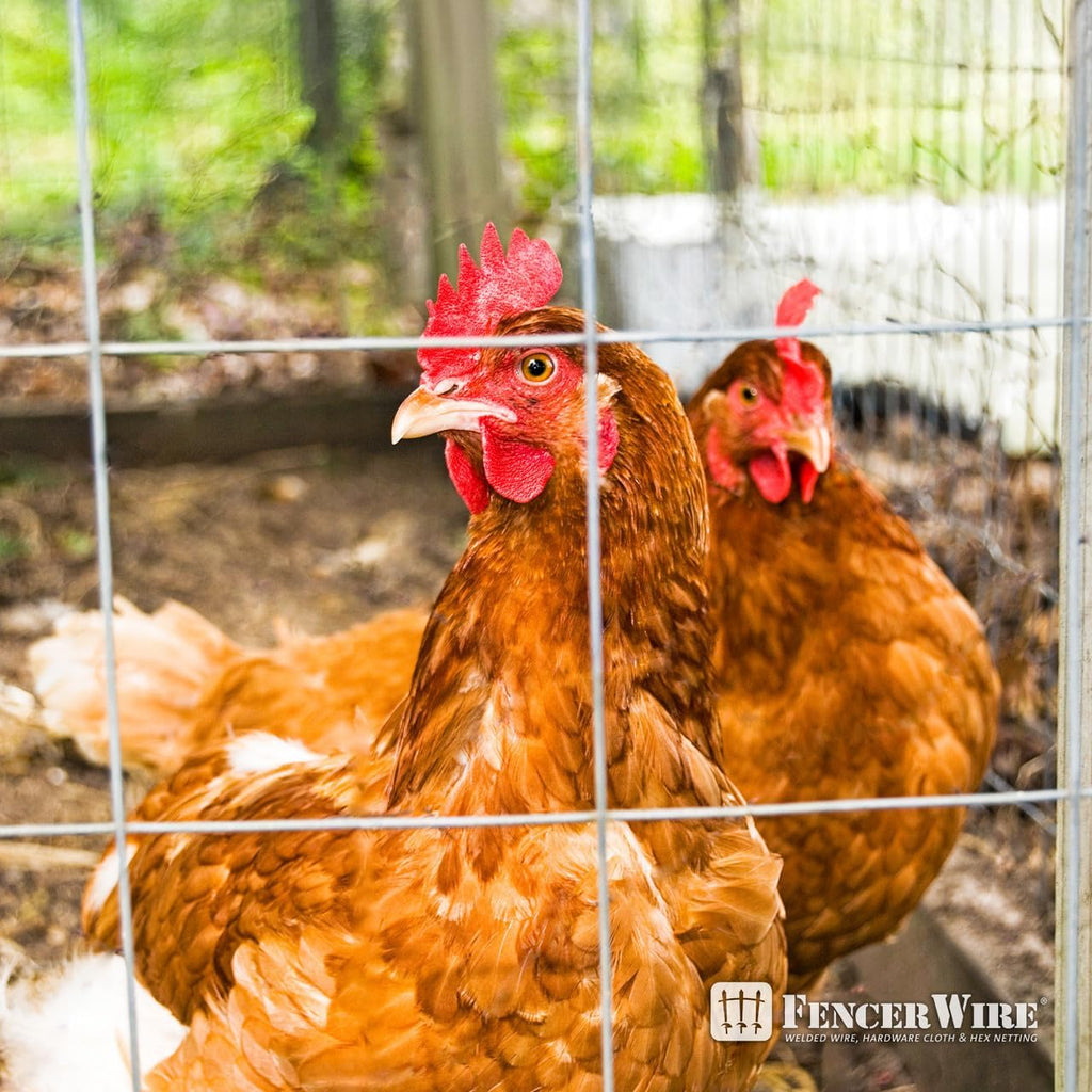 Welded Wire Fence 12.5 Gauge, Galvanized Welded Fence Wire Roll, Mesh Size 4-Inch x 4-Inch, Hog Wire Fencing Cage