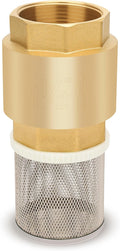 1-1/2" NPT Foot Valve with Filter, Brass, Heavy Duty, Female Thread, DN40