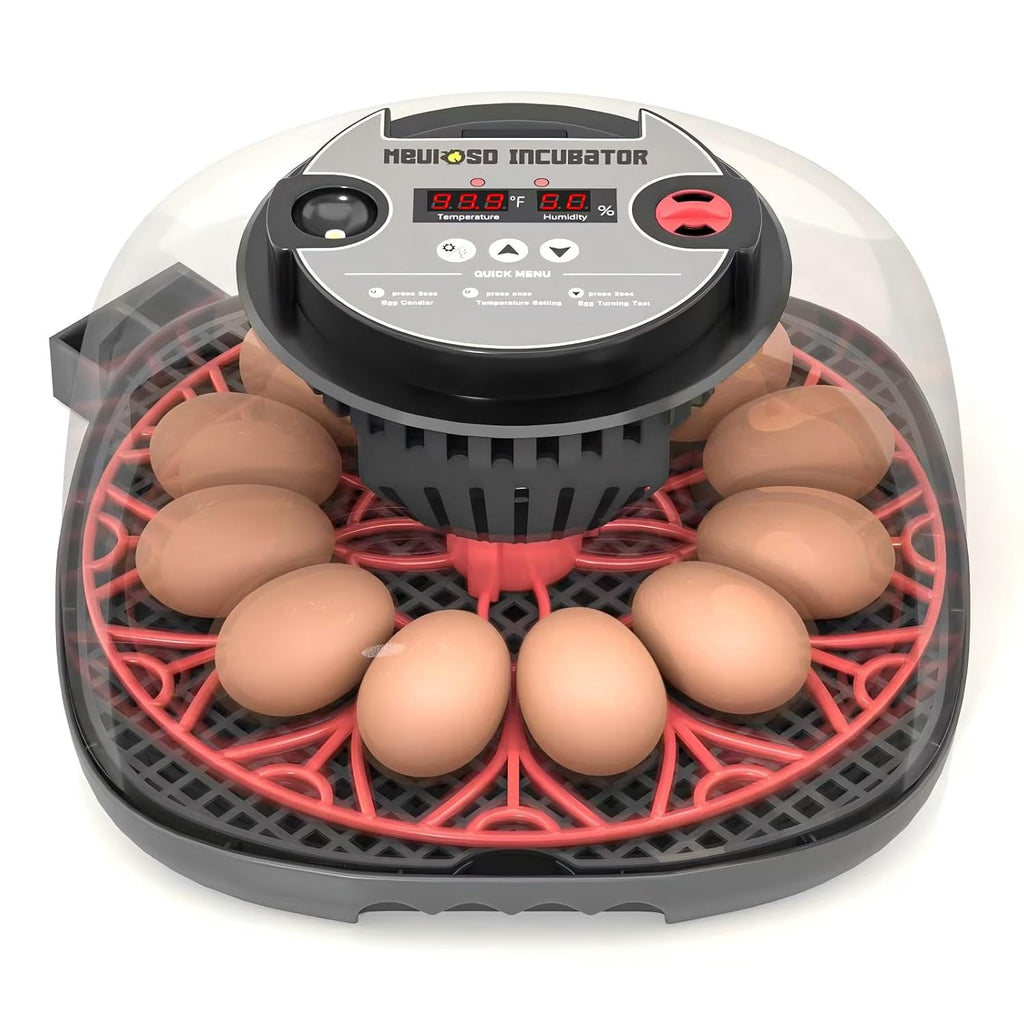 12-24 Egg Incubator incubators for Hatching Eggs