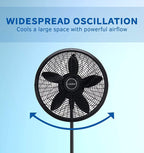 18 in. Adjustable Elegance and Performance Pedestal Fan, Black 18"/Black