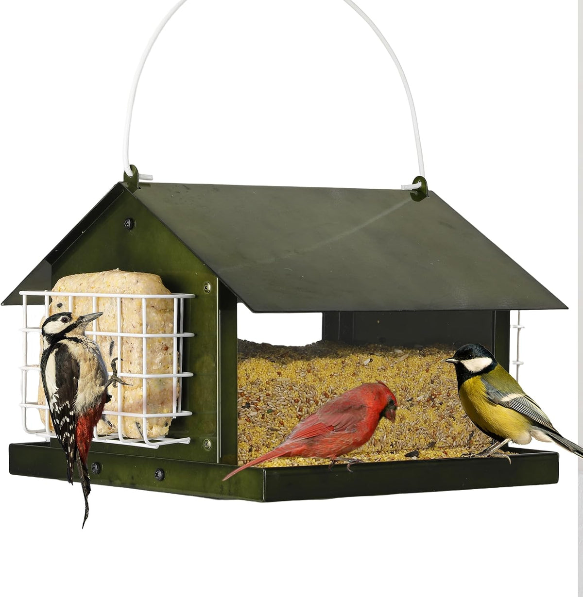 Solution4Patio All Metal Outdoor Dual Suet Cake Hopper Bird Feeder, Green