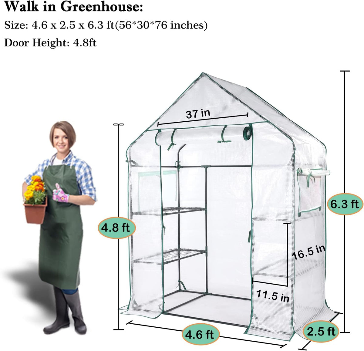 56x30x76 Mini Walk-in Greenhouse, Portable Plant House with 3-Tier Shelves | PE Cover, Roll-Up Door, 3-Tier Shelves