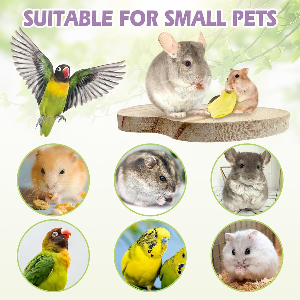 4PCS Wooden Hamster Cage Platform Set Bird Wood Platform Flat Bird Perch Hamster Rat Gerbil Mice Cage Accessories