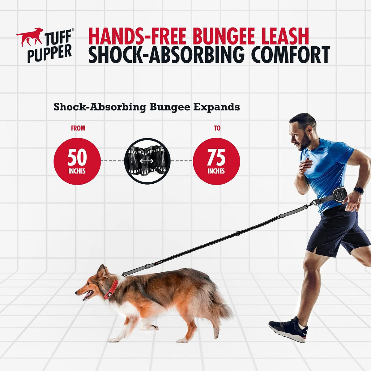 Hands Free Bungee Dog Leash, Waist Belt for Running & Walking