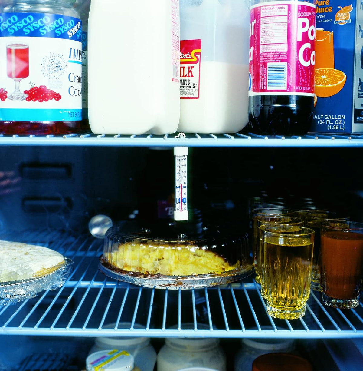 330-0-1 Refrigerator/Freezer Vertical Analog Glass Tube Thermometer