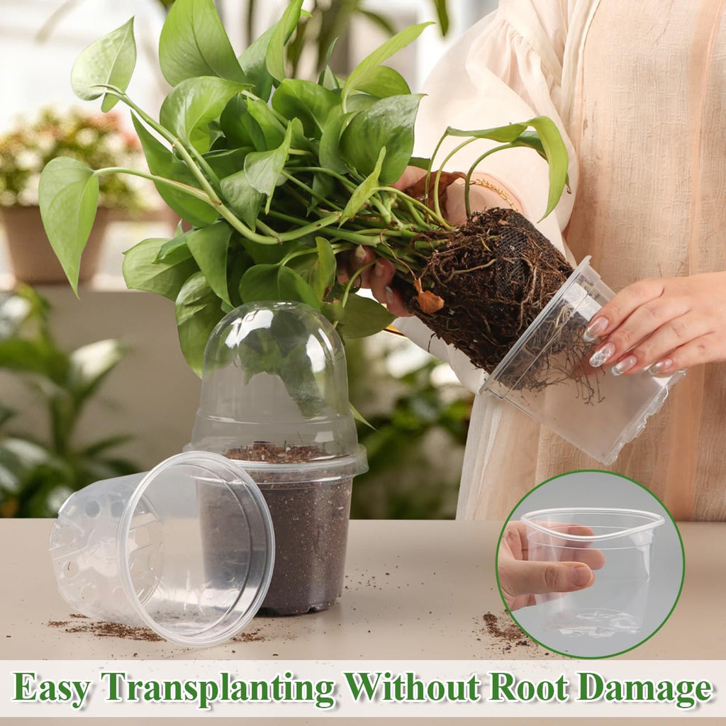 60 Pack Clear Nursery Pots with Humidity Domes, 4 Inch Plastic Plant Pots with Drainage Holes for Seedlings