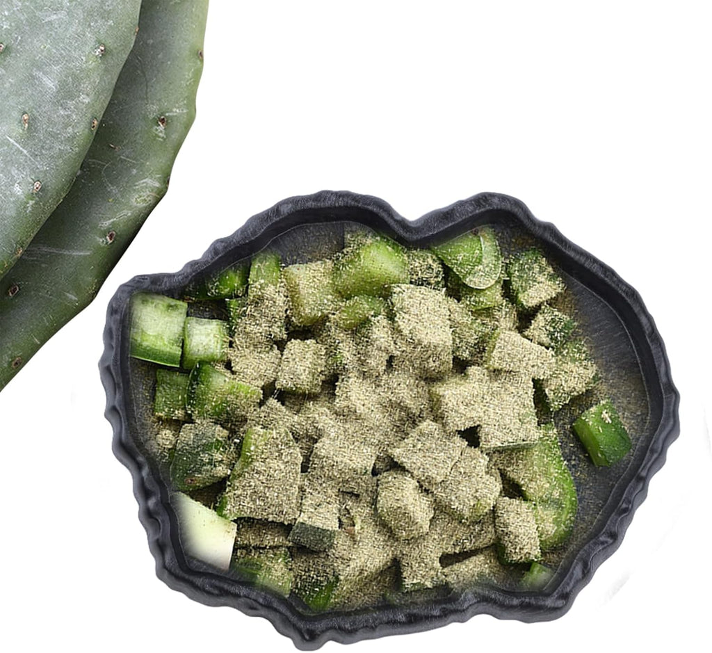Reptile Water Dish, Reptile Feeding Dish Corner (Large)