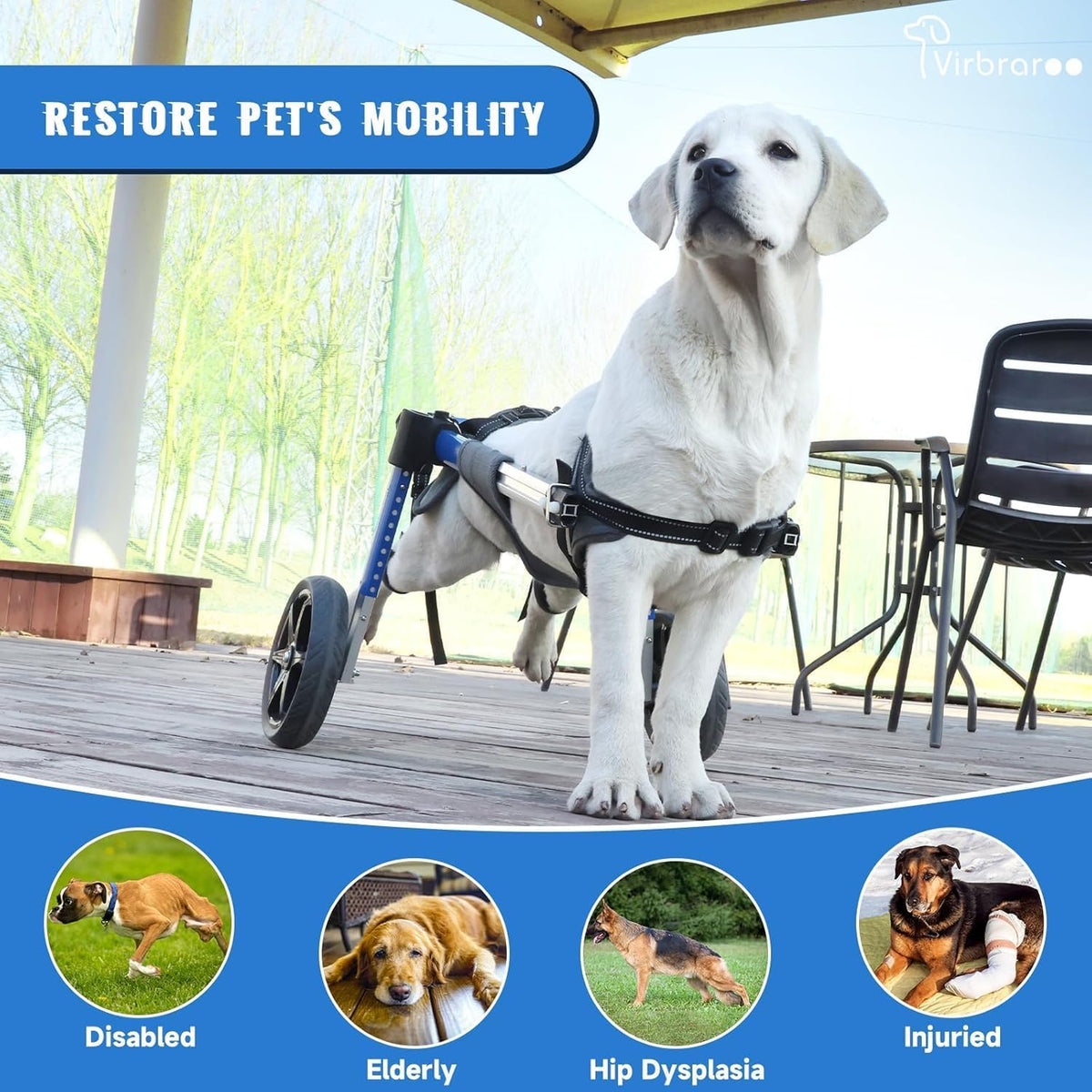 Dog Wheelchair for Back Legs with Upgraded All-Terrain Tires & Durable Bearings,Adjustable Dog Wheelchair for