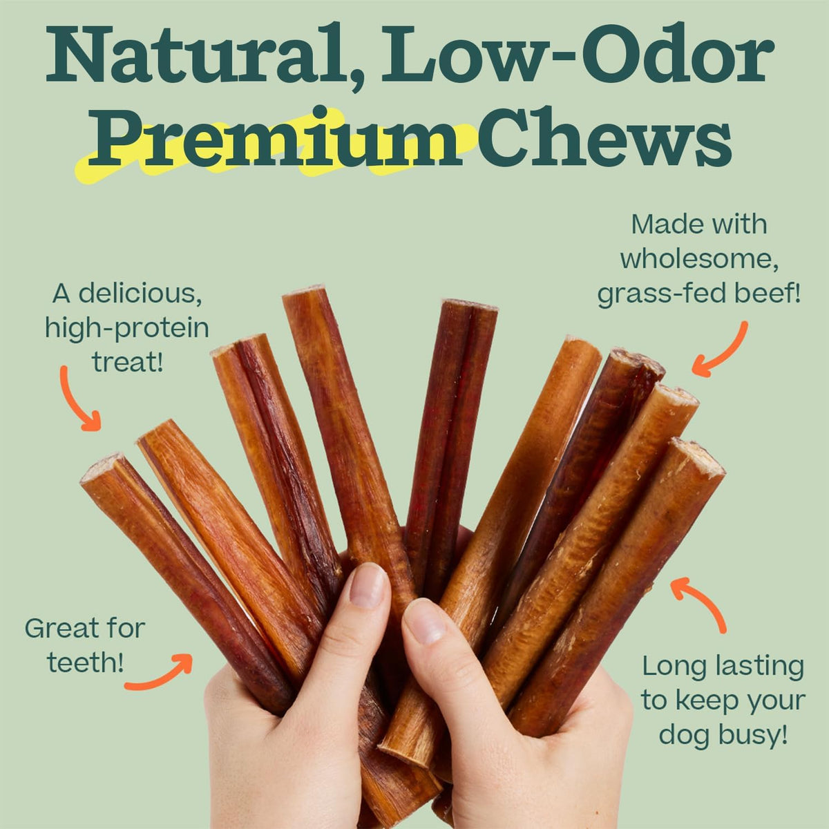 Bully Sticks Dog Chew Treats, 6 Inch, 5 Count
