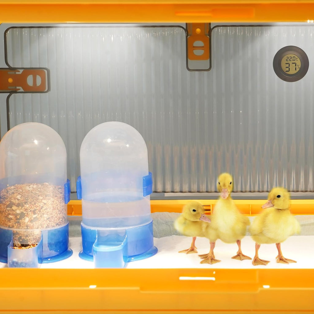 Chicken Brooder Box for Chicks, Brooder Heater Warms up to 20 Chicks with Feeder and Waterer, Poultry Breeding Box