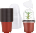 Nursery Pots with Humidity Dome, 4" Seed Starting Pot 30 Pack, Red | Reusable & Soft Plastic Pots, 8 Drainage Hole