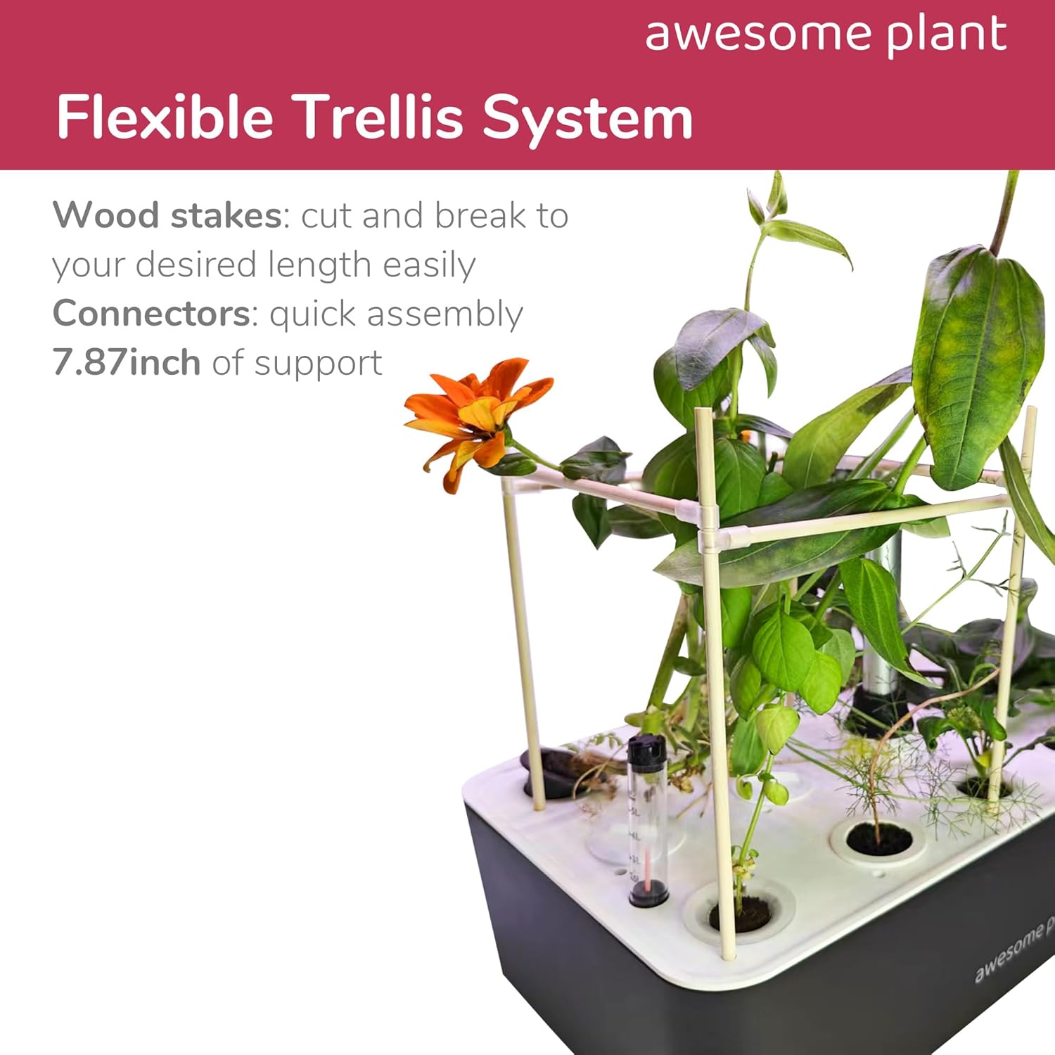 Trellis System (20 PCS) Plant Support Stakes Kit, 7.87 Inches Plant Stakes for Indoor Hydroponic Growing System