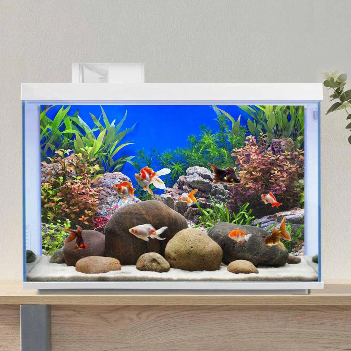 36x24 in Aquatic Plant Fish Tank Background Stone Aquarium Backdrop