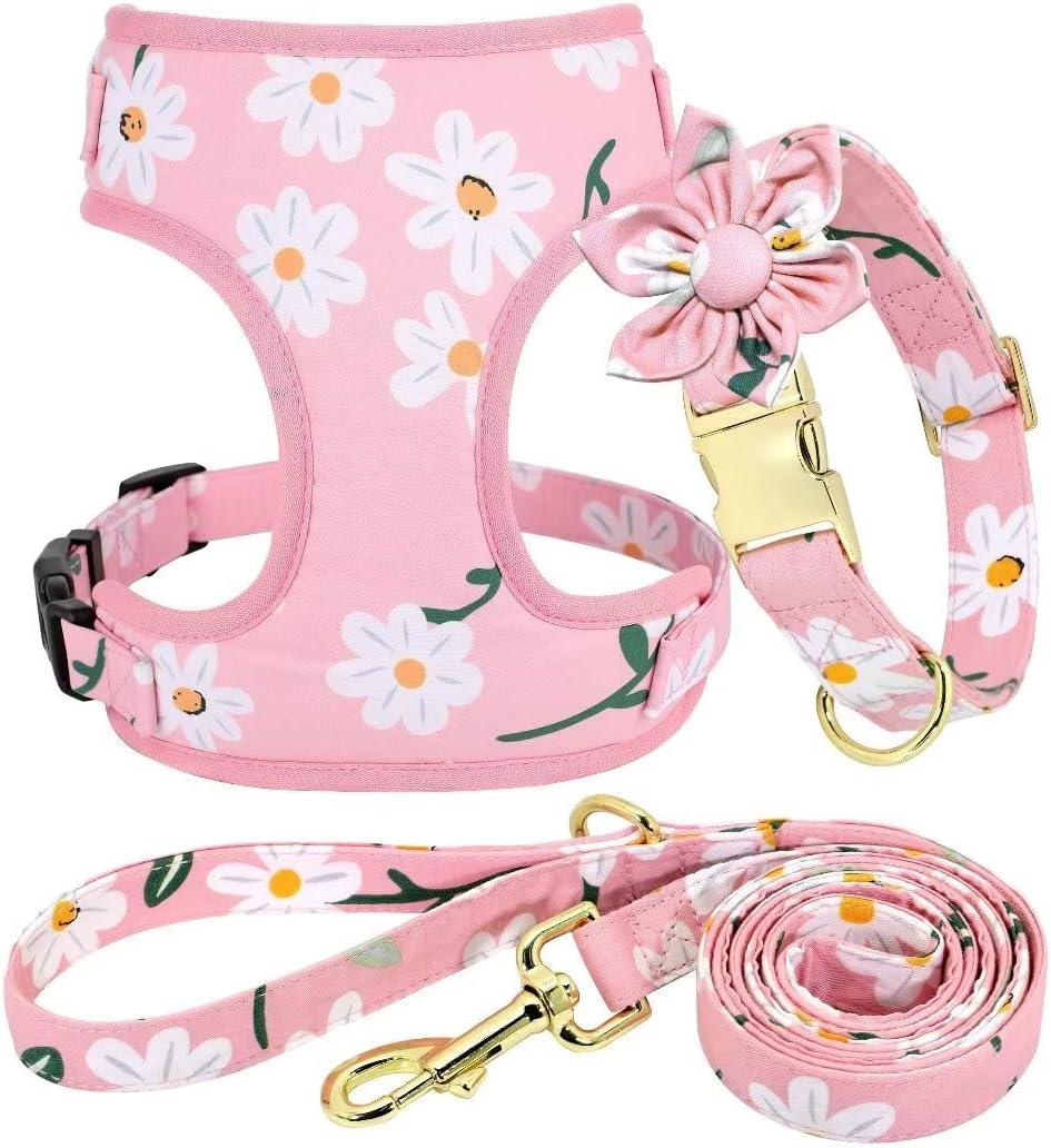 Cute Girl Dog Collars, Harnesses & Leashes Set - Adjustable Dog Collar and Leash Set with Flower - Soft Mesh Dog Vest