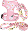 Cute Girl Dog Collars, Harnesses & Leashes Set - Adjustable Dog Collar and Leash Set with Flower - Soft Mesh Dog Vest