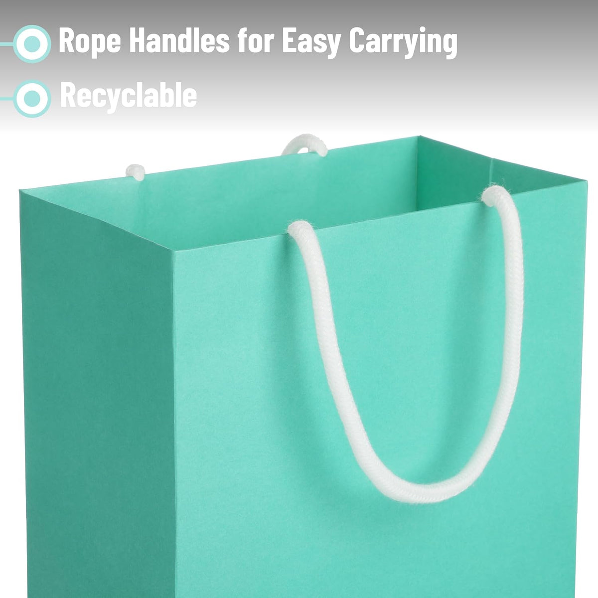 Paper Gift Bags with Handles, Assorted Sizes, 8 Pack