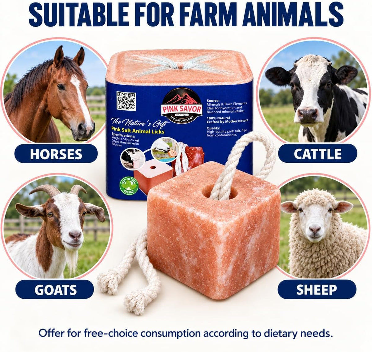 Compressed Himalayan Pink Salt Lick Blocks 5.5 lb Each, Pack of 2 for Horses