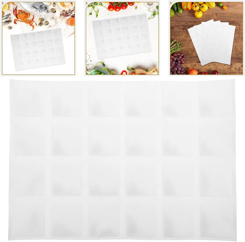 4pcs Reusable Shipping Ice Packs for Seafood and Transport