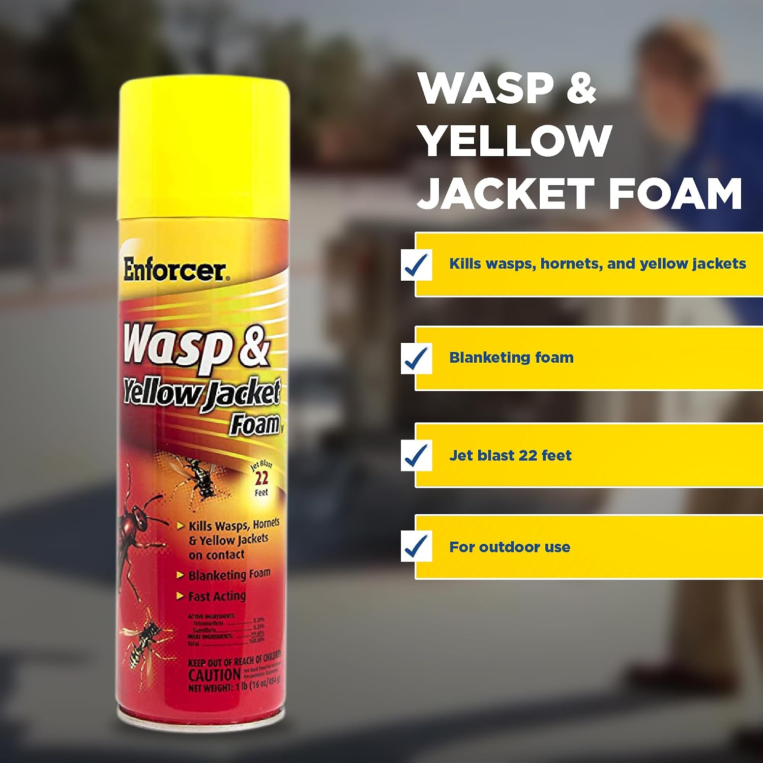 Wasp and Yellow Jacket Foam V - 16 oz (Case of 12)