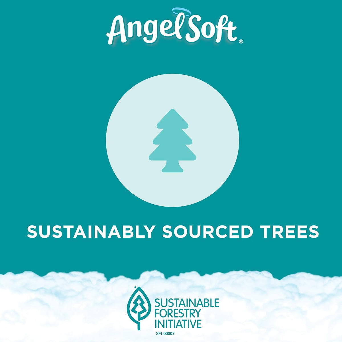 Angel Soft White 2-Ply Septic Safe Toilet Paper Tissue, 36 Double Rolls, 72 Regular Rolls, 260 Plus Sheets Per Double