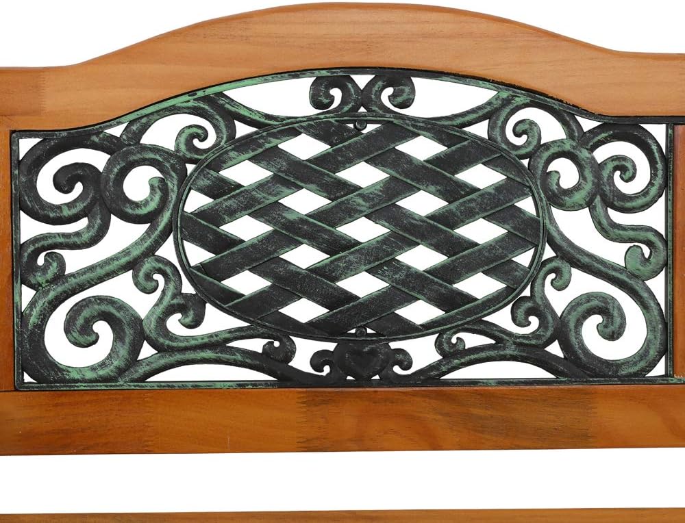 corp 49" Garden Bench Outdoor Patio Park Chair Furniture Natural Hardwood Slats Cast Bronze Iron Frame Curved