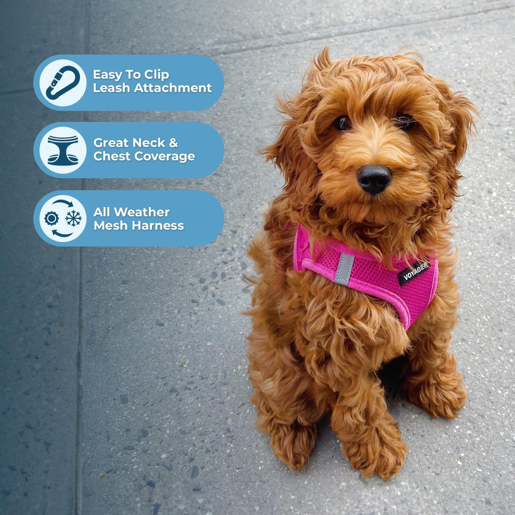 Voyager Step-in Air Harness - All Weather Mesh, Reflective, No Pull Harness for Dogs, Cats - Secure with Hook & Loop
