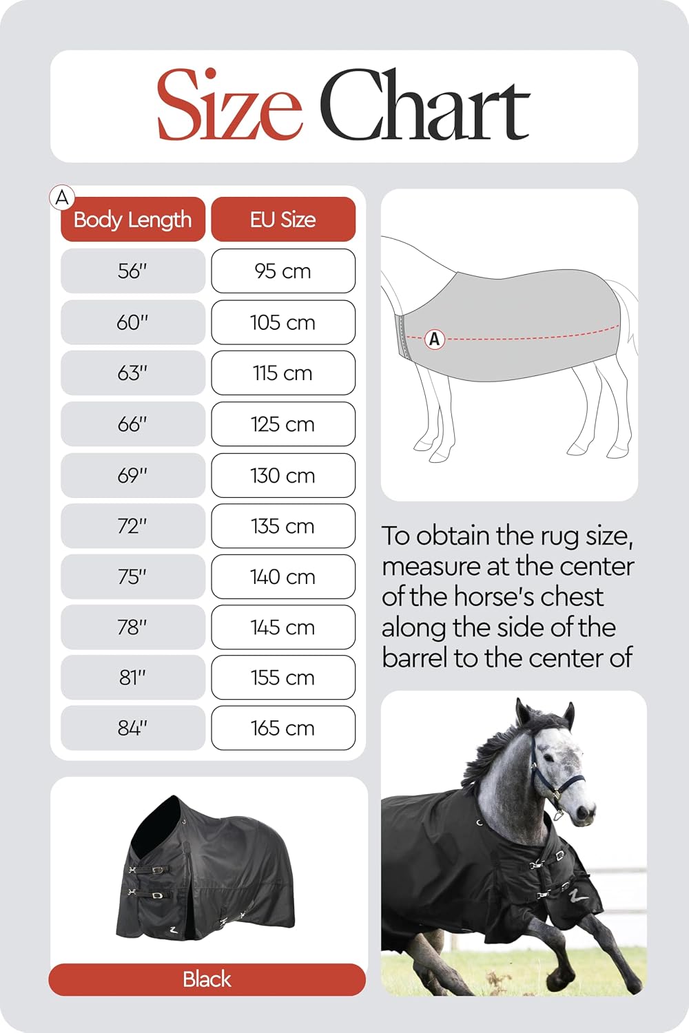 Nevada Medium Weight 1200D Waterproof Horse Turnout Blanket (200g Fill) - Black - 72 in