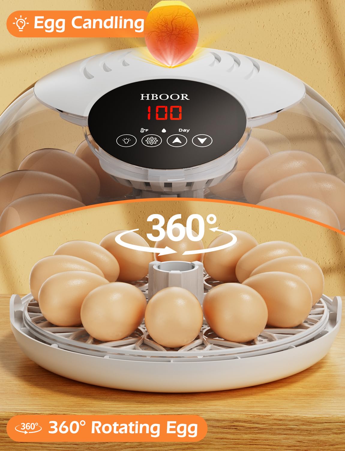 Incubators for Hatching Eggs, 12 Egg Incubator with Automatic Egg Turning and Temperature Humidity Control, Egg