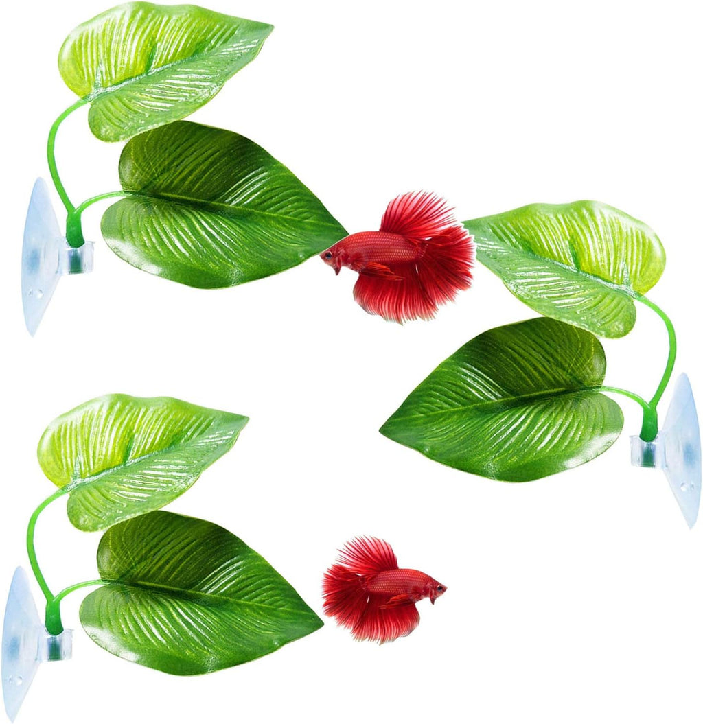 3 Pack Betta Fish Leaf Pad Improves Betta's Health by Simulating The Natural Habitat - Natural, Organic, Comfortable
