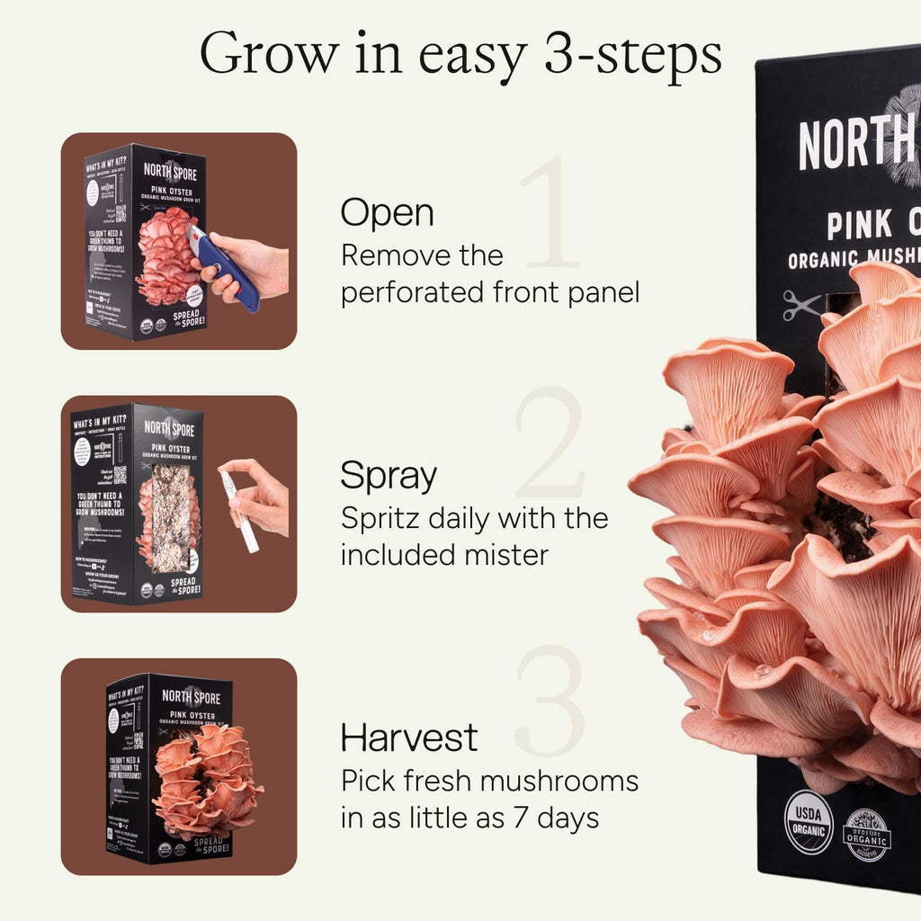 Organic Pink Oyster Mushroom Grow Kit, 4 lbs
