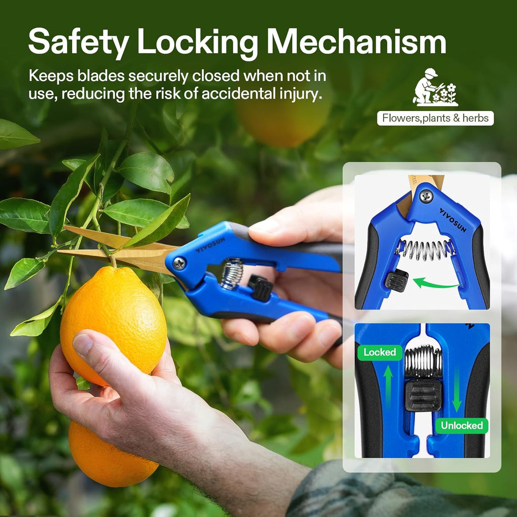 6.5 Inch Garden Scissors, Blue Pruning Shears for Plants, 3-Pack | Curved Precision Stainless Steel Blades, Comfort
